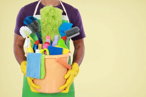 Professional pet stain odour removal for carpets in Farringdon