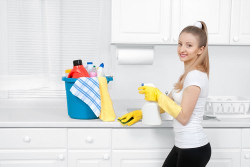 Service manager assessing a carpet cleaning resolution