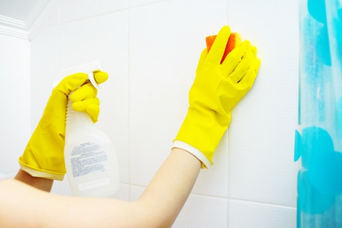Carpet and rug stain cleaning in Farringdon