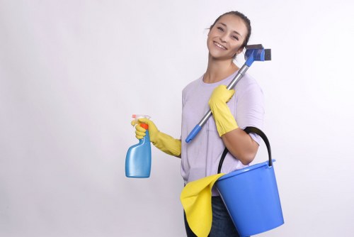Detailed carpet cleaning process for homes and businesses in Farringdon